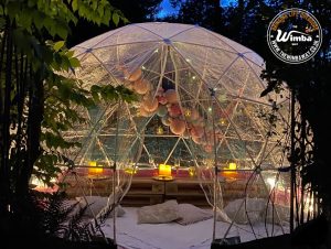 Igloo